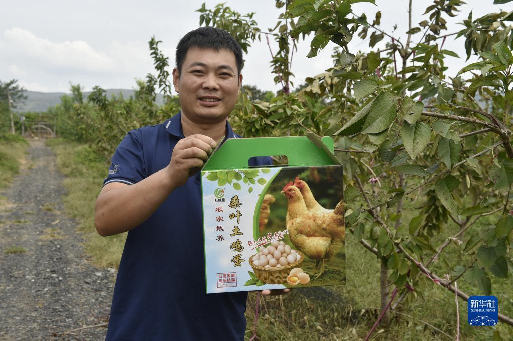 捕鱼大亨安卓